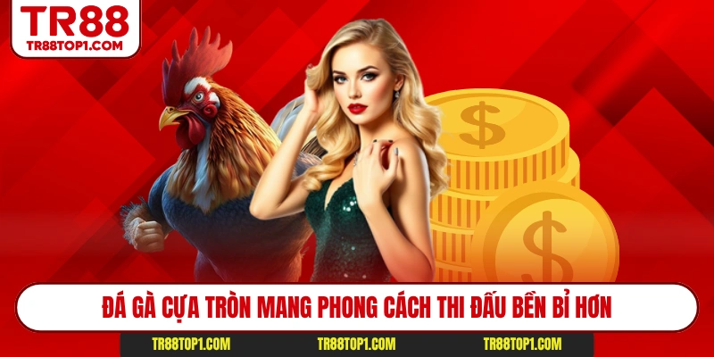Đá gà cựa tròn mang phong cách thi đấu bền bỉ hơn Đá gà cựa tròn mang phong cách thi đấu bền bỉ hơn
